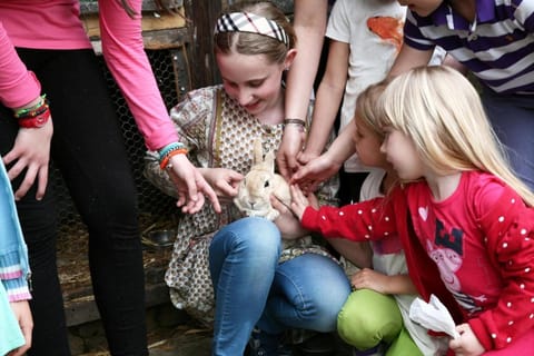 Lugano Savosa Youth Hostel Hostel in Lugano