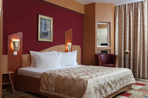 Ambassador Hotel Hotel in Timisoara