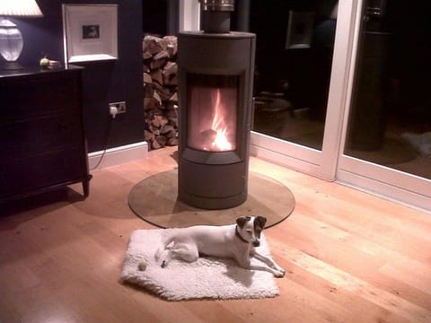 Birch House Bed & Breakfast Bed and Breakfast in Weymouth