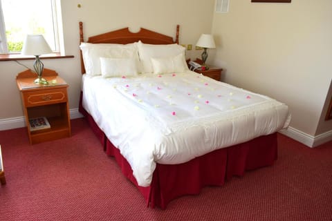 Rhu Glenn Hotel Hotel in County Kilkenny