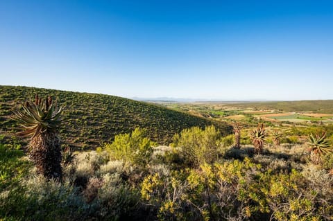 Le Petit Karoo Bed and Breakfast in Western Cape