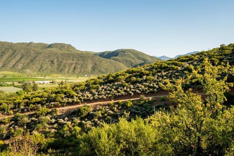 Le Petit Karoo Bed and Breakfast in Western Cape