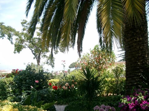 Hotel Matarese Hotel in Casamicciola Terme