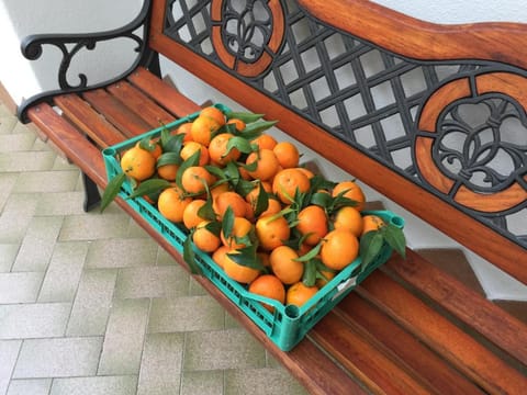 Hotel Matarese Hotel in Casamicciola Terme