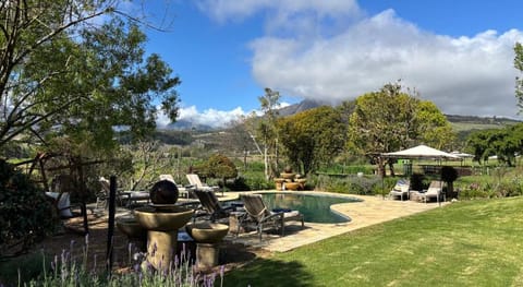 In the Vine Country Manor House Hotel in Cape Town