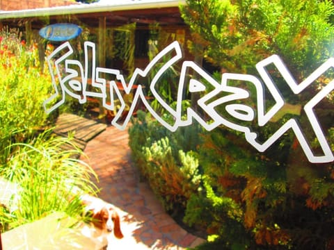 Saltycrax Backpackers Hostel in Cape Town