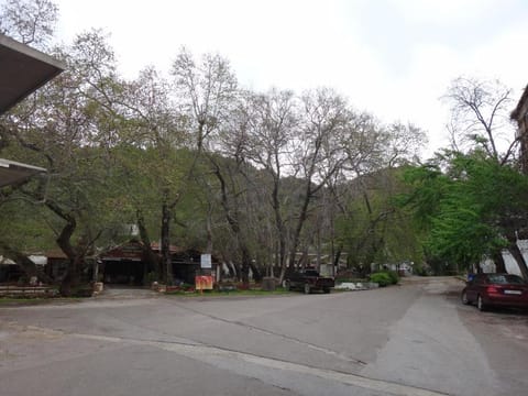 40 Platania Hotel Hotel in Euboea