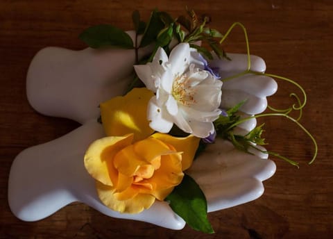 The Vineyard Country House Hotel in Western Cape