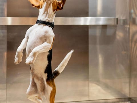 ibis Lille Centre Grand Place Hotel in Lille