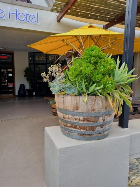 Barrydale Karoo - BOUTIQUE HOTEL Bed and Breakfast in Western Cape