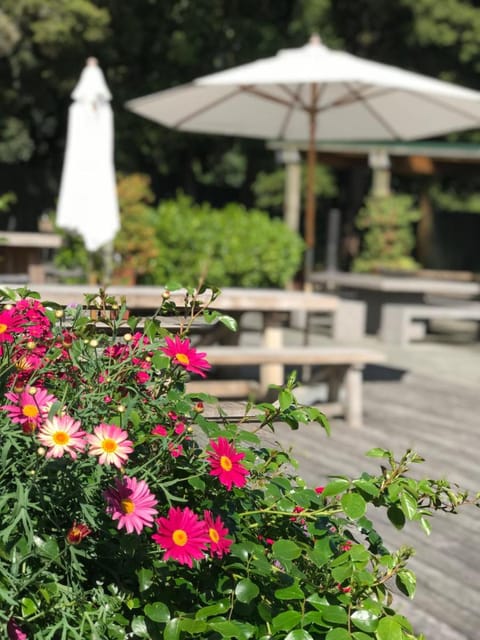 Bridgehouse Lodge Lodge in Auckland Region