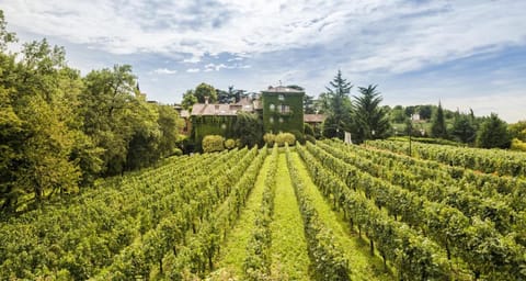 L'Albereta Relais & Chateaux Resort in Province of Brescia