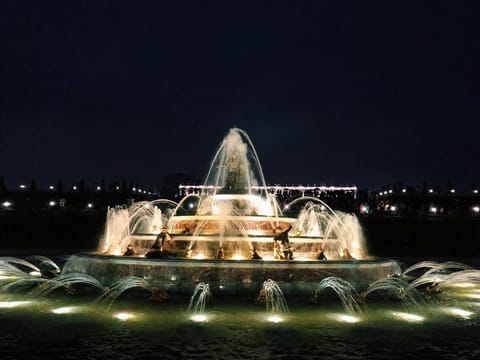 Hotel des Lys Hotel in Versailles