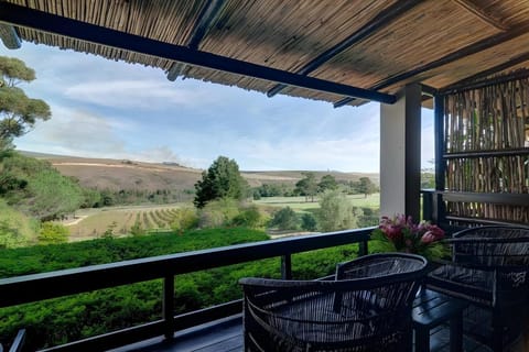 Blue Gum Country Estate Hotel in Western Cape