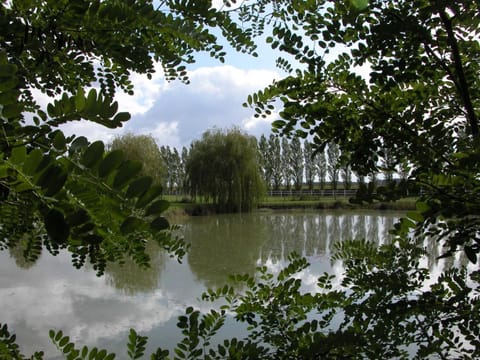 Chambres d'hôtes Au Clos de Beaulieu Bed and Breakfast in Centre-Val de Loire