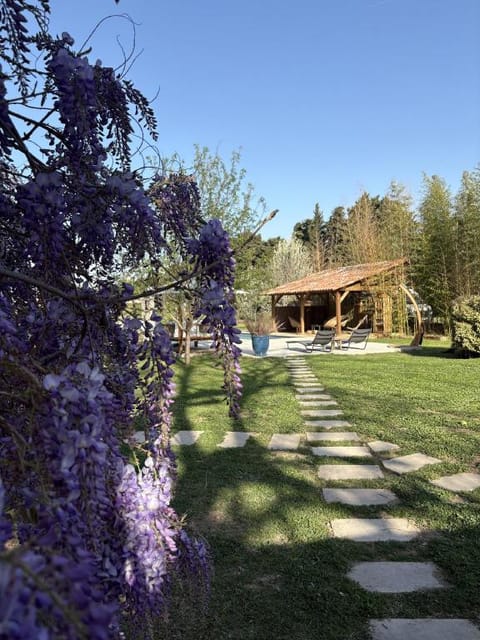 Mas d'Auseu Bed and Breakfast in Cavaillon