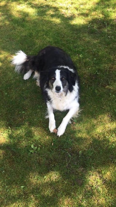 Aux Ecuries du Château Bed and Breakfast in Normandy