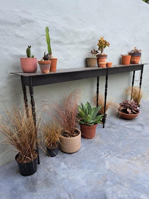 THE BIG - Luxury Backpackers Hostel in Cape Town