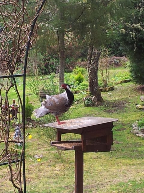 Kettle House B&B Bed and Breakfast in Fort Augustus