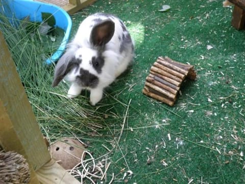 Kettle House B&B Bed and Breakfast in Fort Augustus