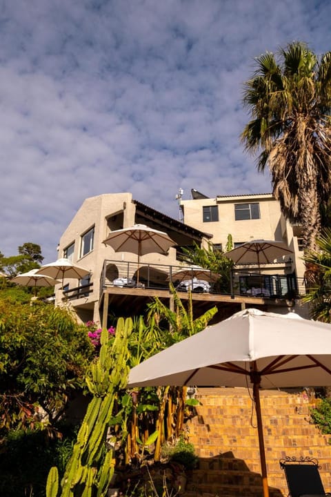 Dreamhouse Guest House Bed and Breakfast in Cape Town