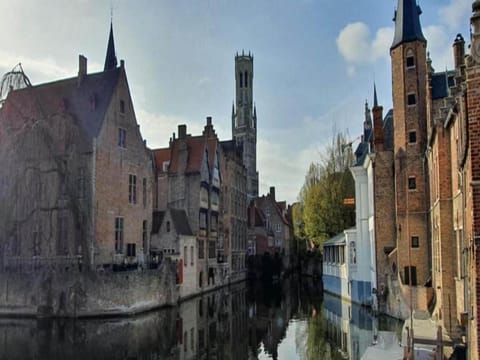 House in Zingem near Hiking Trails Vacation rental in Flanders