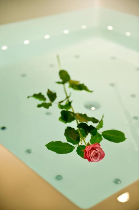 Viola Mhotel Hotel in Province of Brescia