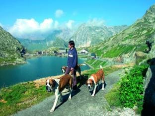 Boutique Apartment in Valais with Balcony Apartment in Canton of Valais