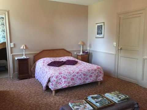 Château de Pintray Bed and Breakfast in Centre-Val de Loire