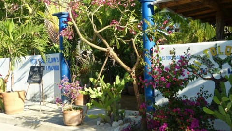 Hotel Villa Mozart y Macondo Hotel in Puerto Escondido