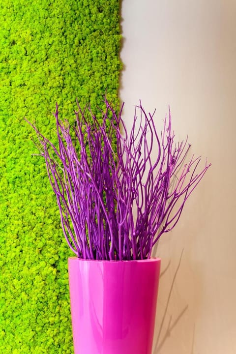 ibis Styles Montbéliard Hotel in Montbéliard