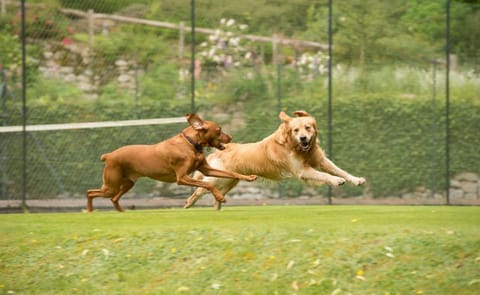 Gidleigh Park- A Relais & Chateaux Hotel Hotel in Teignbridge