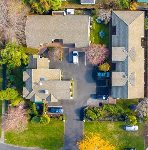 Cambridge Mews Motel Motel in Cambridge