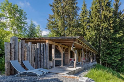 Rinderberg Lodge Hotel in Saanen
