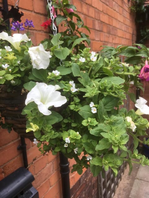 Elmdon Lodge Bed and Breakfast in Solihull