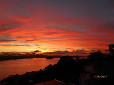 Tarlton's Lodge Bed and Breakfast in Paihia
