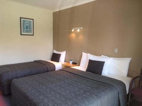 Stadium Motel Motel in Hamilton