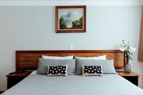 Hotel Don Simon Hotel in Toluca