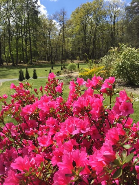 Château des Essards avec piscine et jacuzzi Bed and Breakfast in Centre-Val de Loire