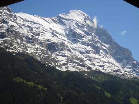 Lehmann's Herberge Hostel Hostel in Grindelwald