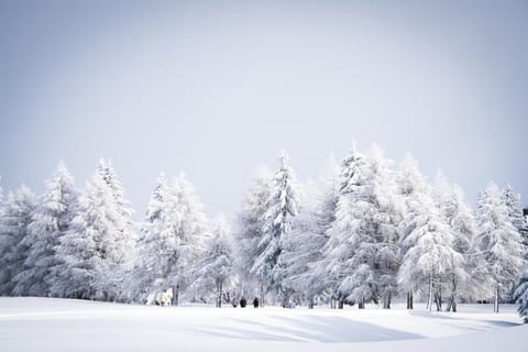 Crans Ambassador Hotel in Crans-Montana