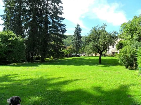 A la Grenouille du Jura - Oyonnax Nantua Bed and Breakfast in Oyonnax