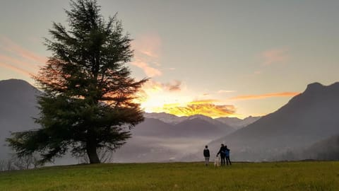 Cascina del Forte Farm Stay in Piedmont