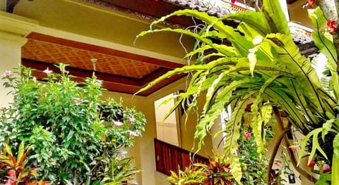 Arjuna Homestay Ubud Bed and Breakfast in Ubud