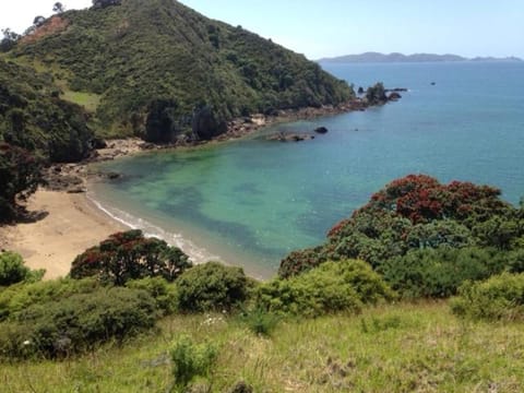 Waiwurrie Coastal Farm Lodge Bed and Breakfast in Northland