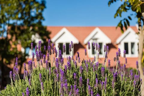 6 On Protea Bed and Breakfast in Knysna