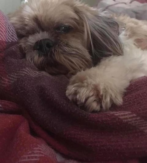 Kestor Inn, Manaton, Dartmoor National Park, Newton Abbot, Devon Inn in Teignbridge