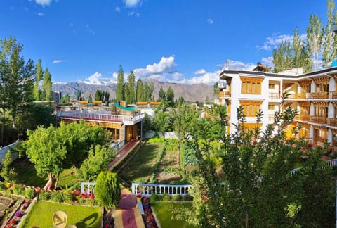 Property view