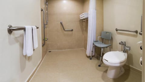 Holiday Inn Orizaba By IHG Hotel in Orizaba