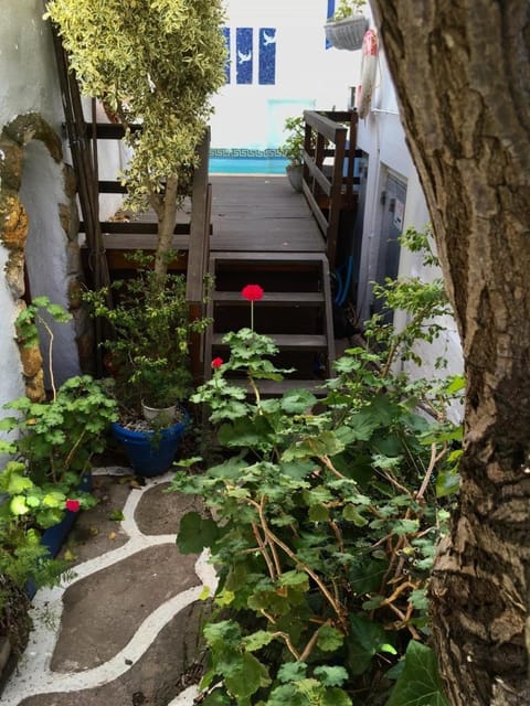 Athenian Villa Bed and Breakfast in Western Cape